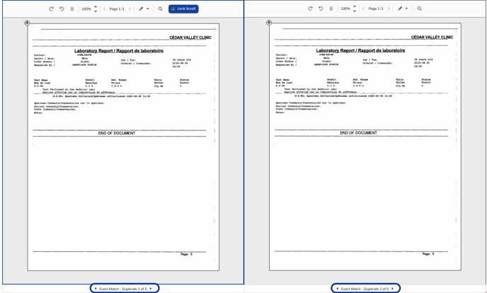 Duplicate Page Navigation